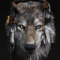 darkwolf3307
