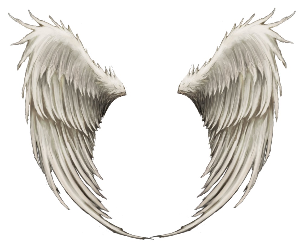 Крылья ангела на прозрачном фоне
