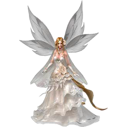 Wedding Garb